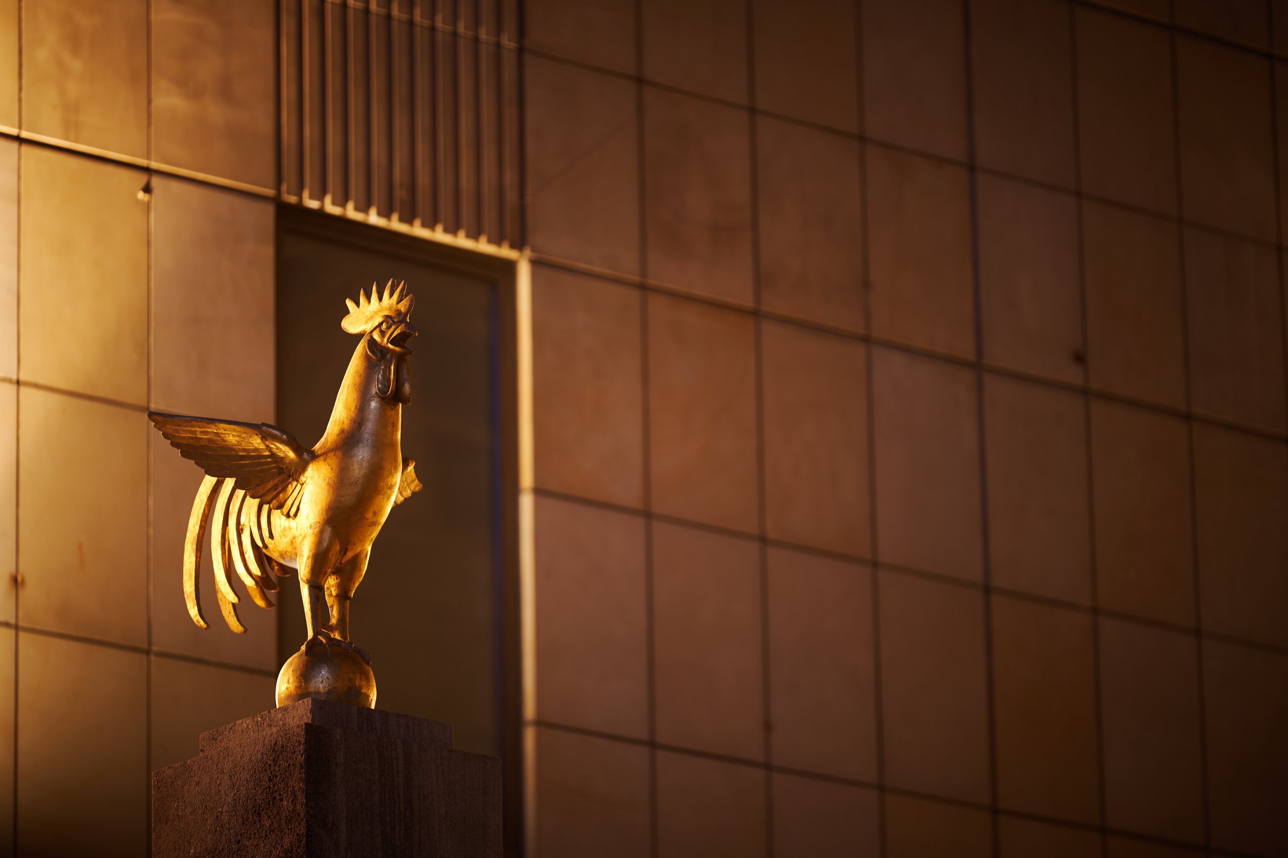 Essen Light Festival 0296